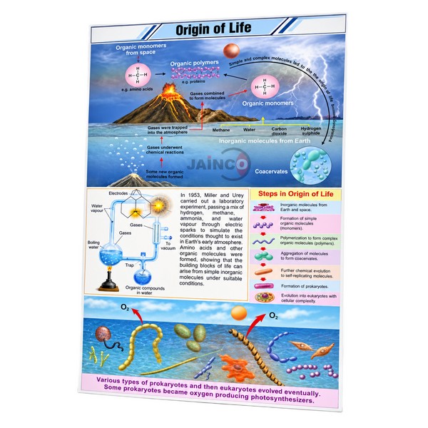 Origin of Life